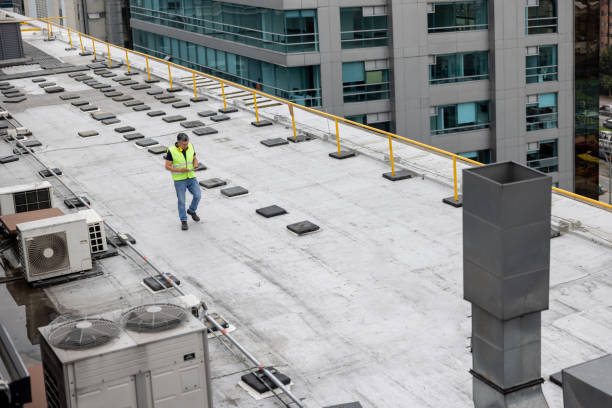 Best Roof Moss and Algae Removal  in Tanaina, AK